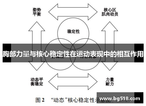 胸部力量与核心稳定性在运动表现中的相互作用